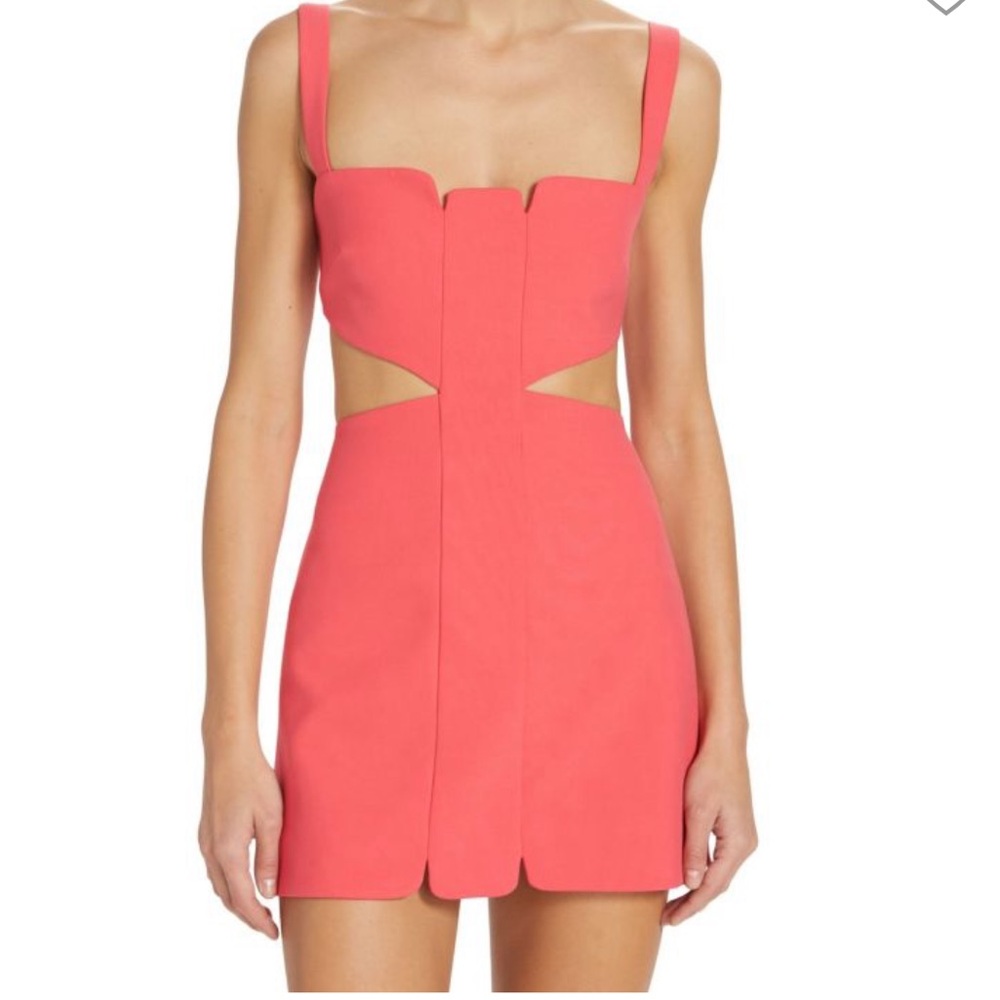 Alexis Bonnie Mini Dress